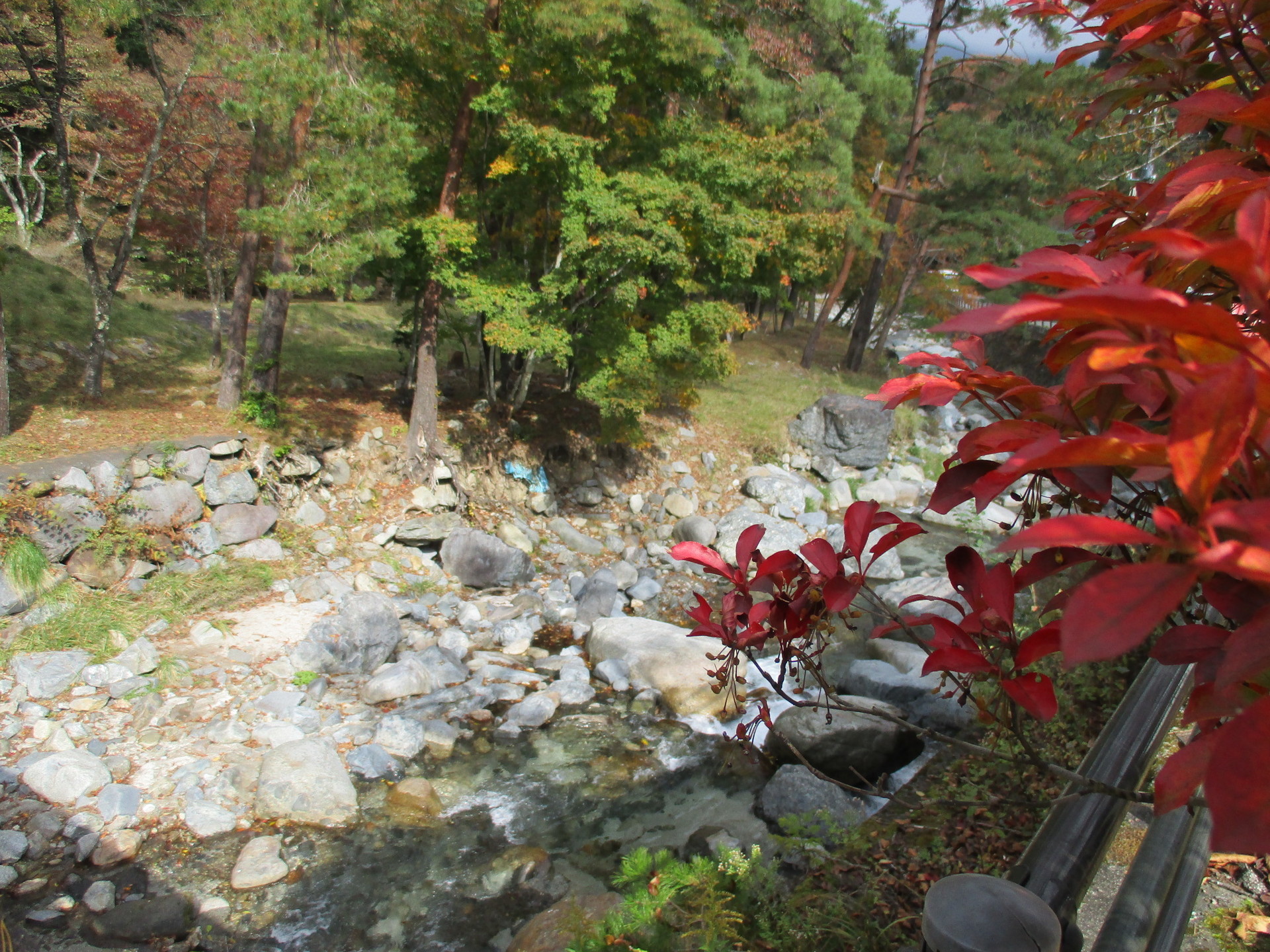 ぶらっと秋の道志みち周辺林道探索 Tlやxlでぶらっとお山へ