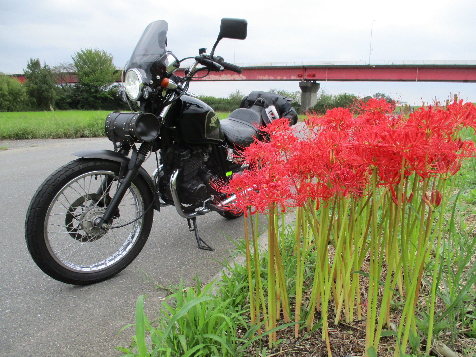 Cbx君で秋の気配を探しに Tlやxlでぶらっとお山へ