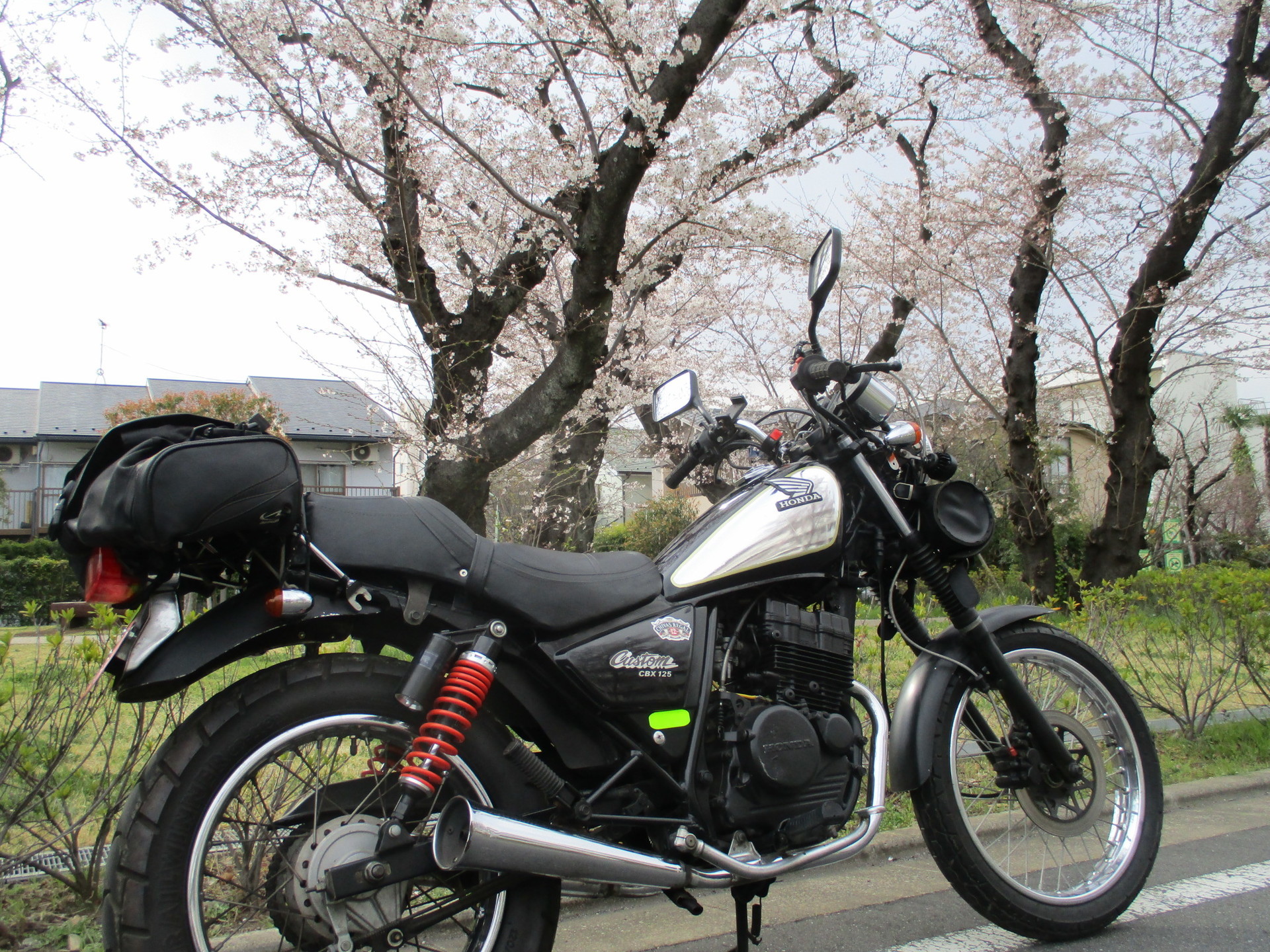 ｃｂｘ１２５カスタムのカスタムでお花見 Tlやxlでぶらっとお山へ